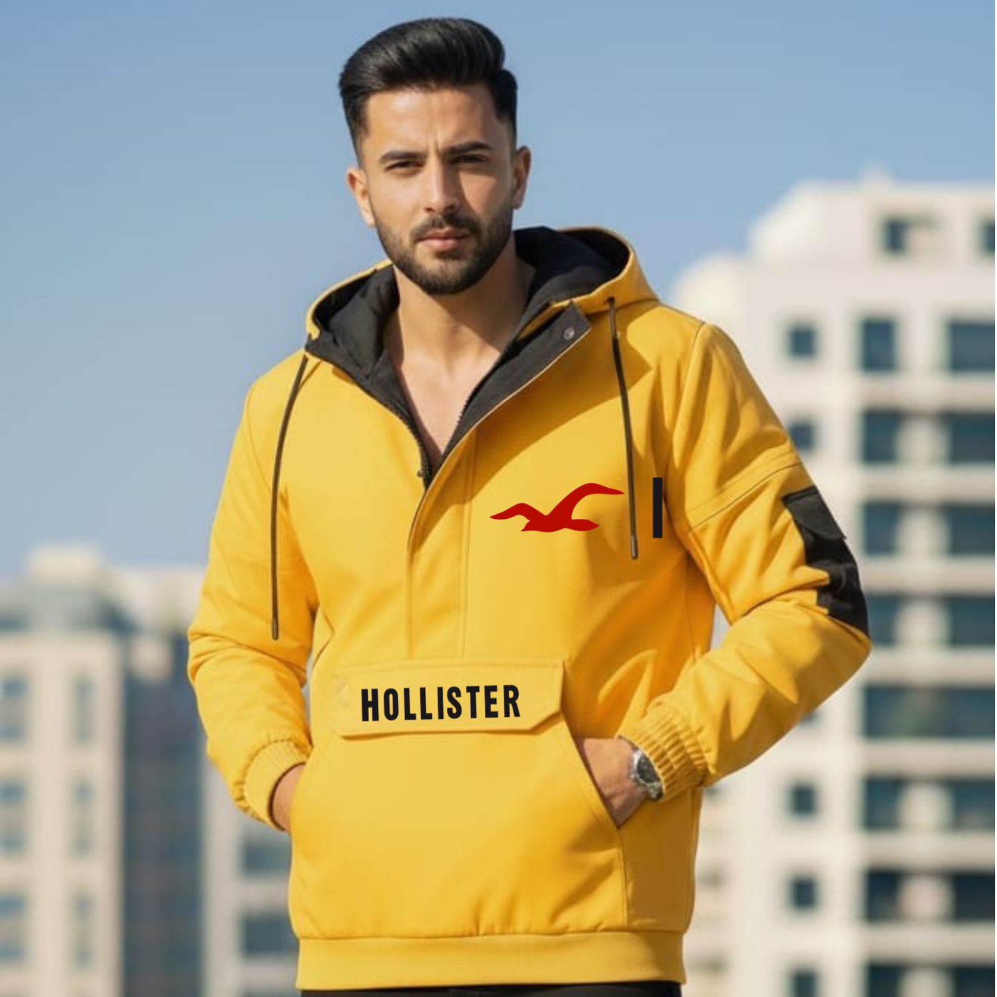 Streetwear Pullover (Holli-ster Falcon)